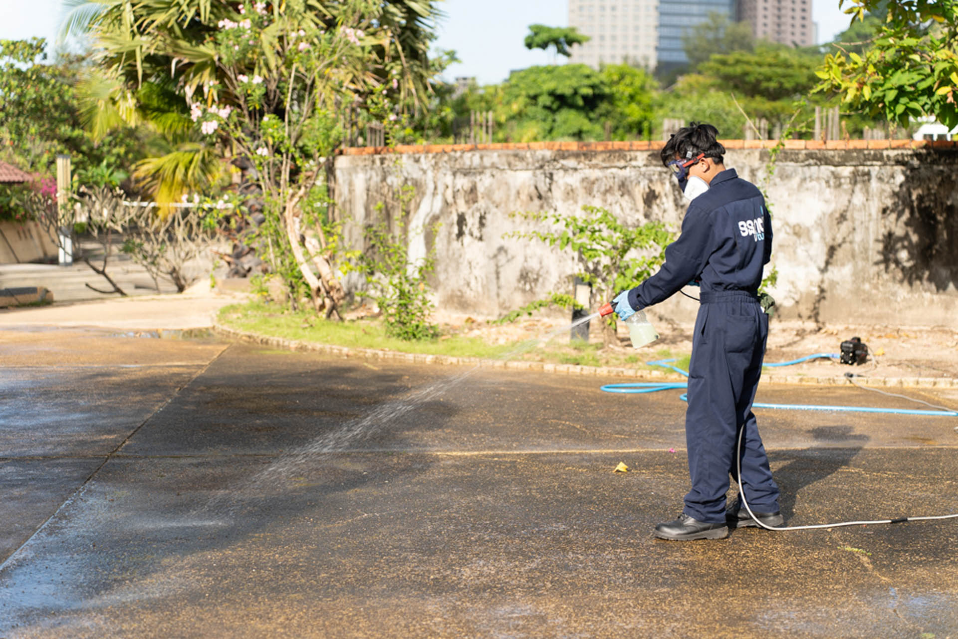 Lorem ipsum dolor sit amet consectetur